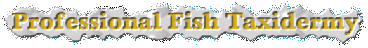 FISH TAXIDERMIST- FISH TAXIDERMY- FISH REPLICAS
